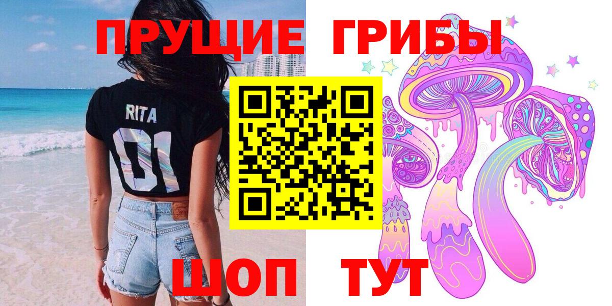 Электросталь  Псилоцибиновые грибы GOLDEN TEACHER  Вход с VPN 